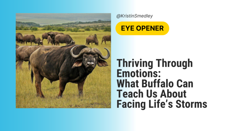 picture of a buffalo and the title of the article Special Edition: Thriving Through Emotions – What Buffalo Can Teach Us About Facing Life’s Storms